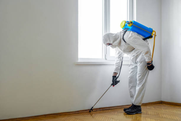 Best Pest Prevention Services  in White Salmon, WA